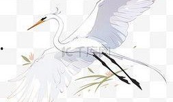 白鹭动漫在线观看,在线观看，畅享青春奇幻之旅